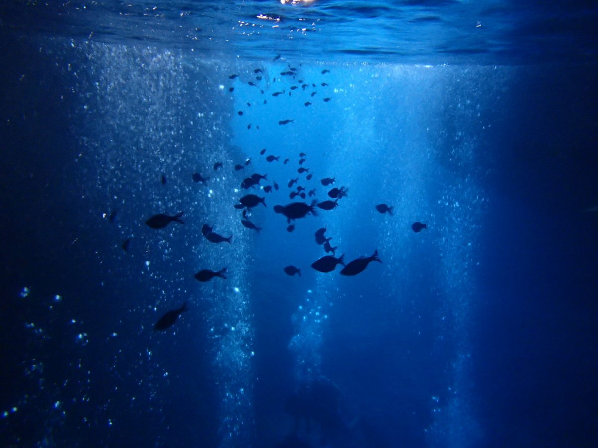 恩納村の青の洞窟でシュノーケリングしてきた【マリンクラブ ナギ】